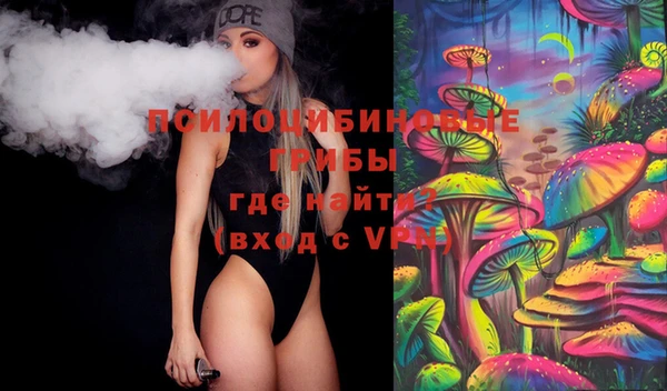 твердый Алексеевка