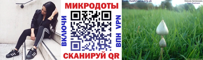 Галлюциногенные грибы прущие грибы  купить  цена  Клинцы 